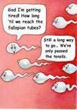 tonsils.jpg image by masterdanielaaron