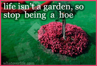 hoe.gif image by nothingxinxcommon